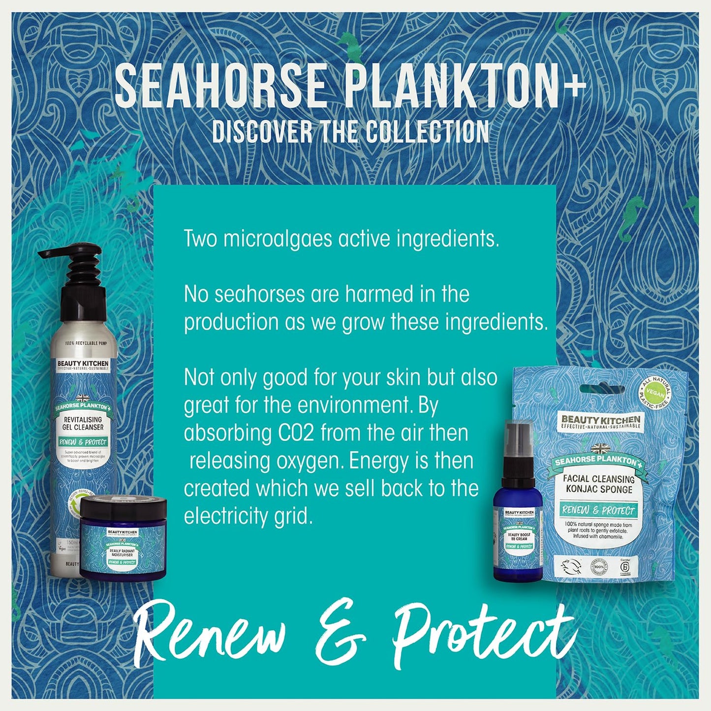 Beauty Kitchen - Seahorse Plankton + Bright Eyes Probiotic Serum 30ml - Brightening & Hydrating - Targets Fine Lines, Wrinkles & Dark Circles - Vegan/Cruelty Free