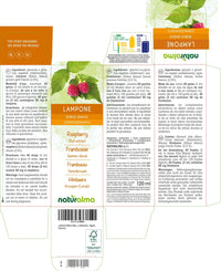 Raspberry (Rubus idaeus) Alcohol-Free Bud Extract from Fresh Buds Naturalma - Liquid Drops 120 ml - Food Supplement - Vegan
