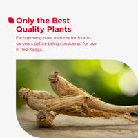 Red Kooga Ginseng Multivitamins & Minerals, 32 Tablets