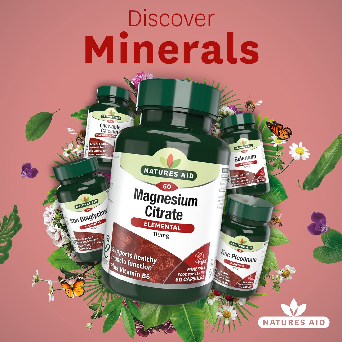 Natures Aid Magnesium Citrate 750 mg Capsules with Vitamin B6, Vegan, 60-Count, 146920