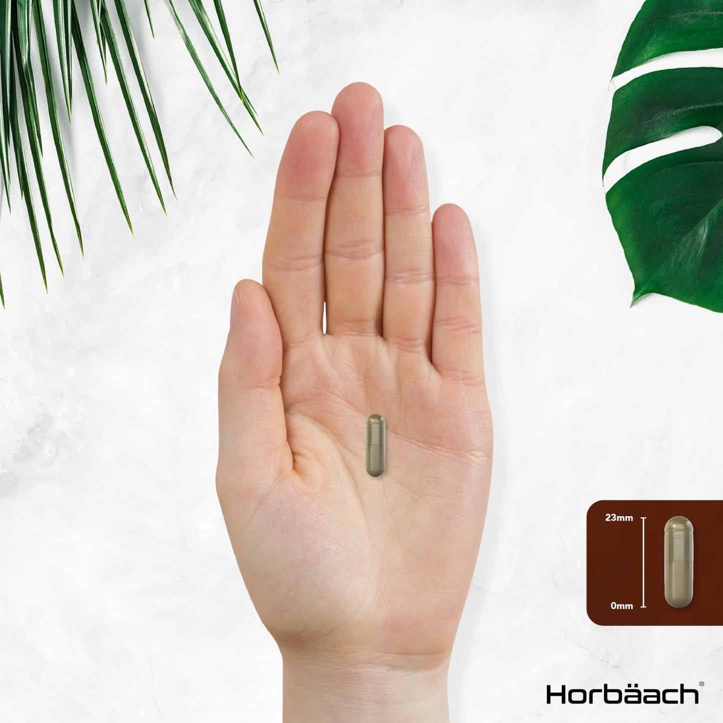 Organic Lions Mane Supplement 3000mg | High Strength Mushroom Extract | 120 Vegan Capsules | by Horbaach