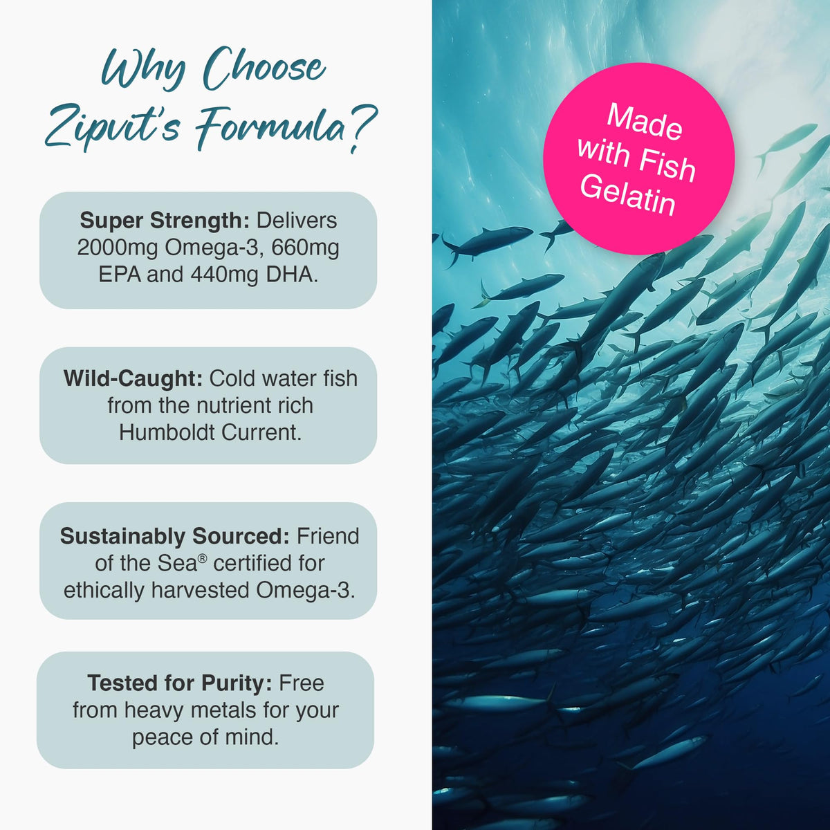 Zipvit Omega 3 Fish Oil 2000mg, EPA 660mg DHA 440mg, Wild-Caught, Cold Water Fish, Supports Heart, Brain & Vision, 120 Softgels, 2 Months Supply