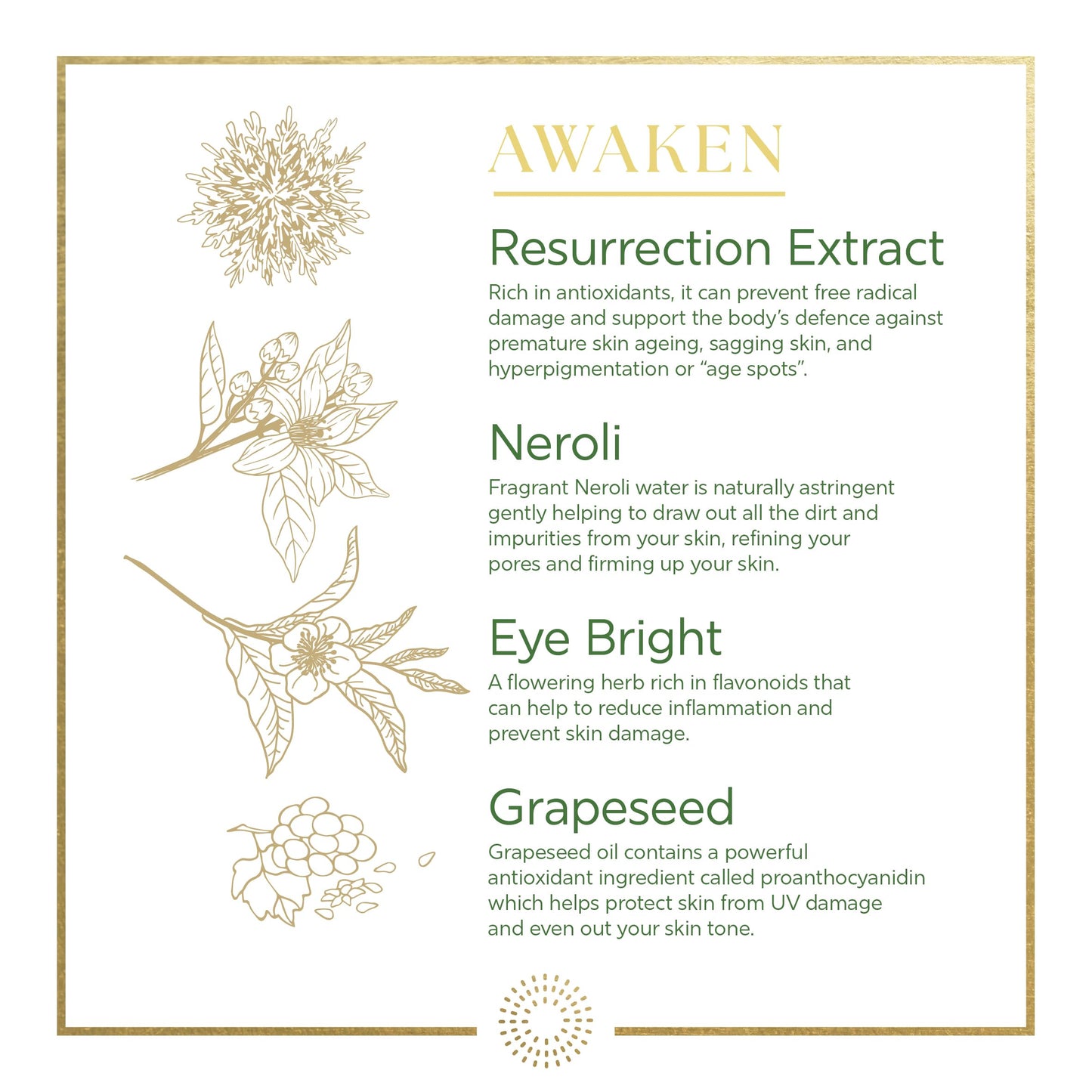 Dr. Organic Dr Organic Evoke Awaken Radiance Day Cream, Hydrate, Even Skin Tone, Brighten Complexion, with Neroli & Resurrection Extract, Certified Organic, 50ml