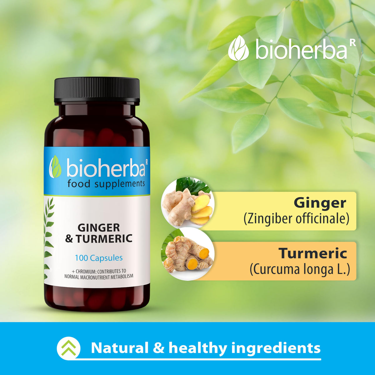 BIOHERBA Ginger and Turmeric Capsules – 100 Count | High Strength Herbal Supplement with Chromium for Daily Wellness and Metabolism Support