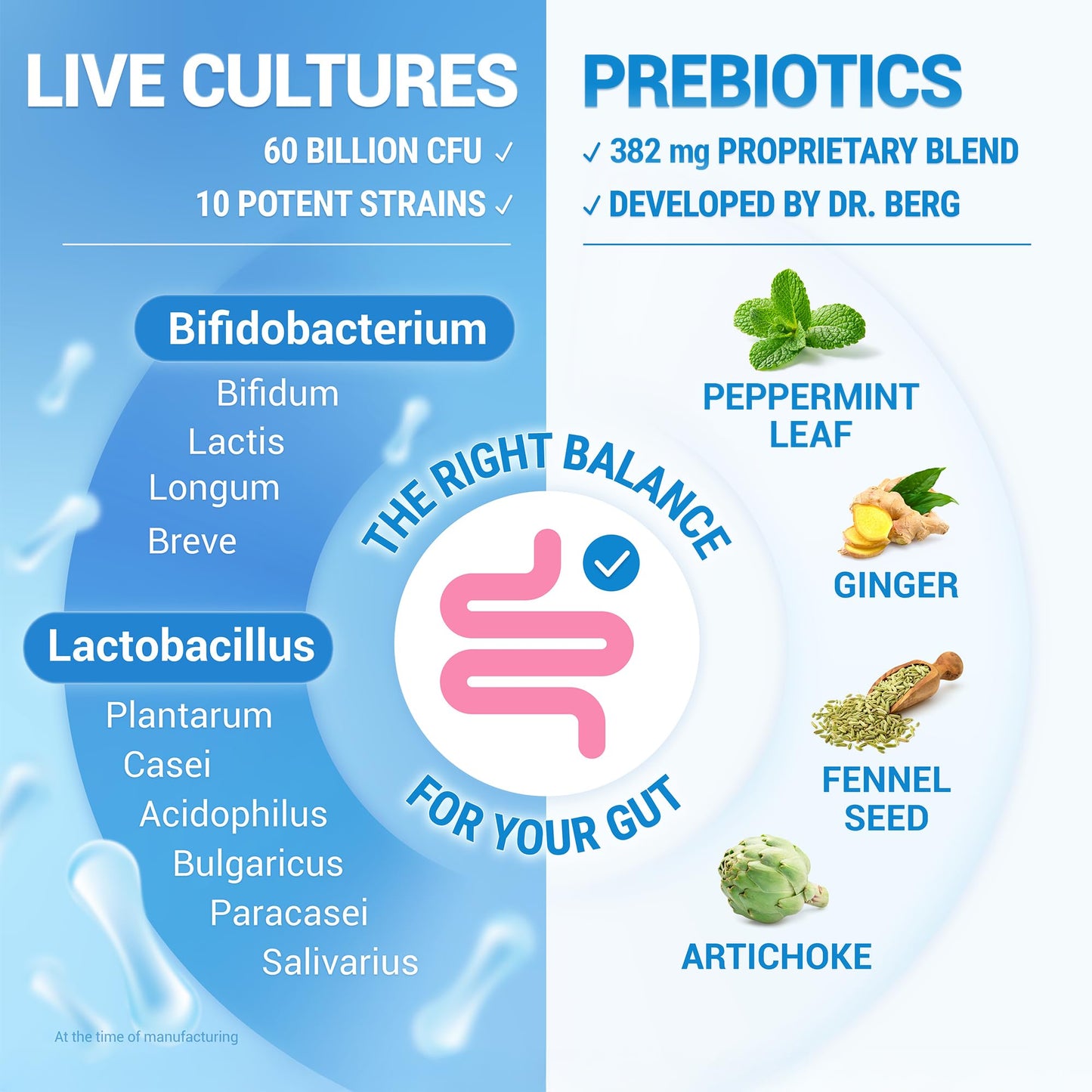 Dr. Berg Nutritionals Dr. Berg Bio Cultures Complex Probiotics with Prebiotics | 60 Billion CFU | Prebiotic and Probiotic Supplements with Lactobacillus and Bifidobacterium Strains