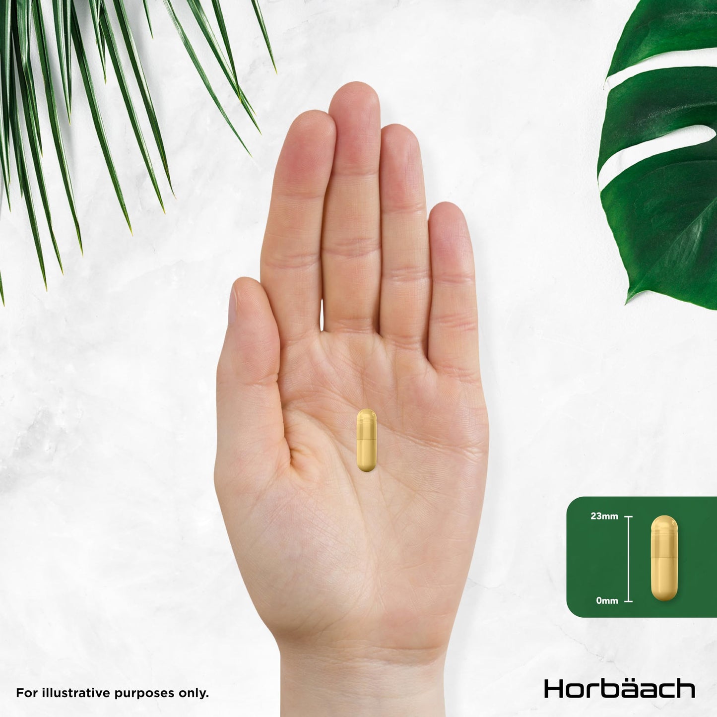 Horbäach Ashwagandha KSM-66 and Lion's Mane 2500mg Capsules | KSM-66 Ashwagandha Root Extract & Lion's Mane Mushroom Extract, Enhanced with Black Pepper | 120 Vegan Capsules | by Horbaach