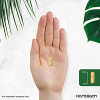 Horbäach Ashwagandha KSM-66 and Lion's Mane 2500mg Capsules | KSM-66 Ashwagandha Root Extract & Lion's Mane Mushroom Extract, Enhanced with Black Pepper | 120 Vegan Capsules | by Horbaach