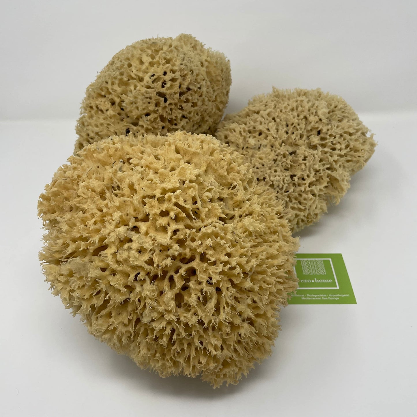 Ezo.Home XXL Sea Sponge Very Large 18-20cm Unbleached Honeycomb Natural Seasponge for Bath Use, for Baby, or Art use (XXL Size Minimum 18cm+) Whole Uncut