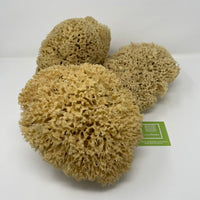 Ezo.Home XXL Sea Sponge Very Large 18-20cm Unbleached Honeycomb Natural Seasponge for Bath Use, for Baby, or Art use (XXL Size Minimum 18cm+) Whole Uncut