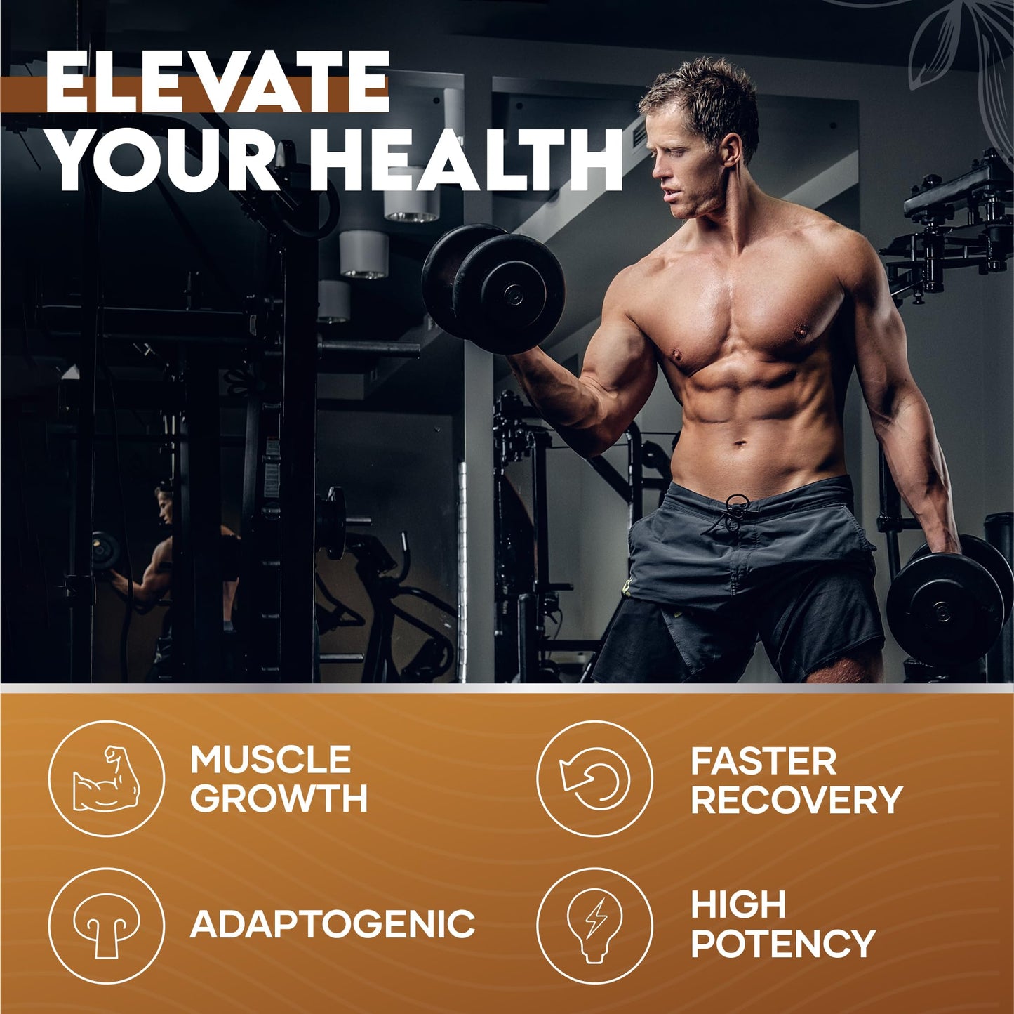 Nutri-things Elevate Your Health® Fadogia Agrestis Capsules