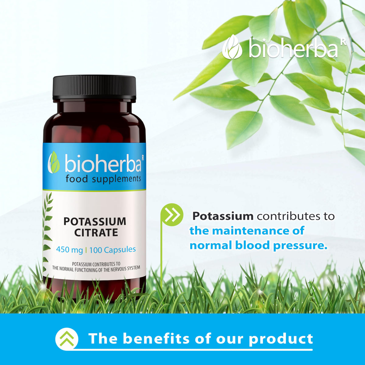Potassium Citrate 450 mg – 100 Capsules | Muscle, Nerve and Blood Pressure Support by BIOHERBA