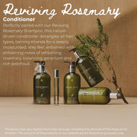 Molton Brown Reviving Rosemary Conditioner 300 ml