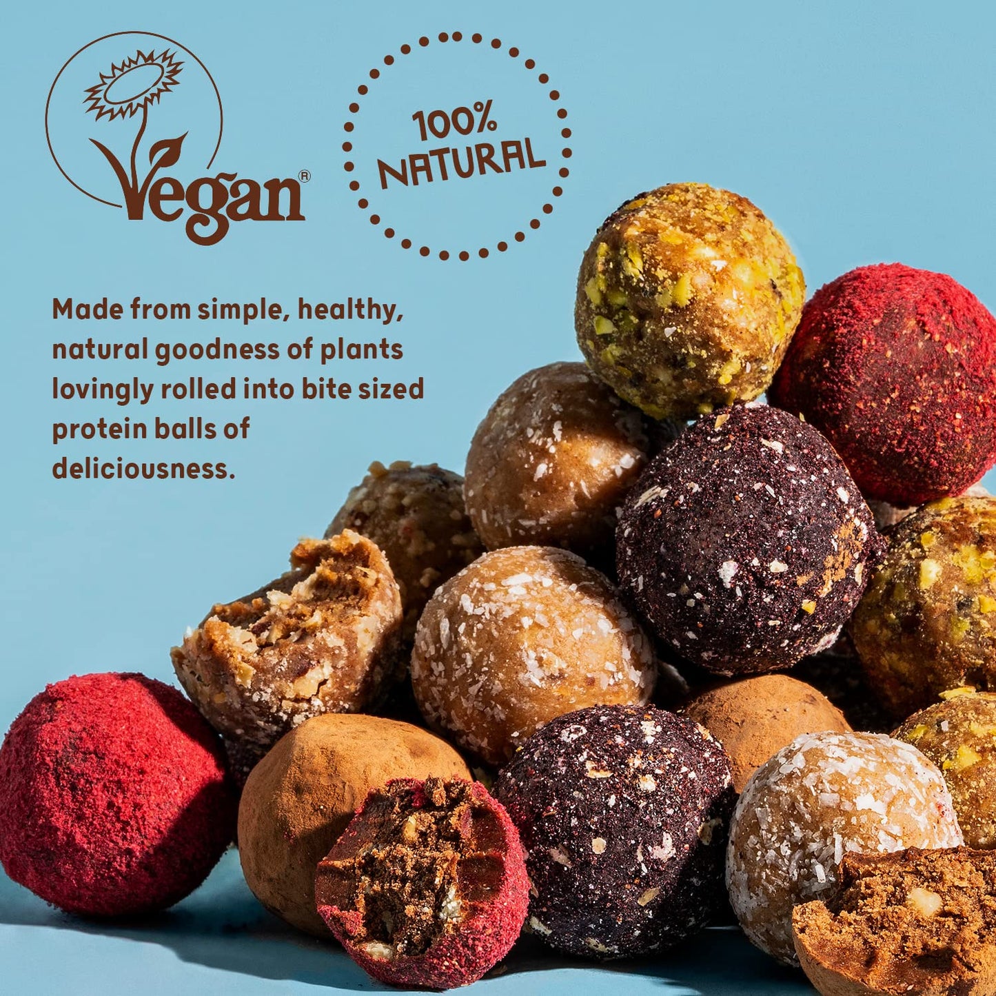 THE PROTEIN BALL CO Protein Balls Vegan Mixed Variety Pack by The Protein Ball Co - Natural, Plant Based Protein Snacks with Added Vitamins - 10 x 45g Bags - High Fibre, Gluten Free, No Artificial Sweeteners