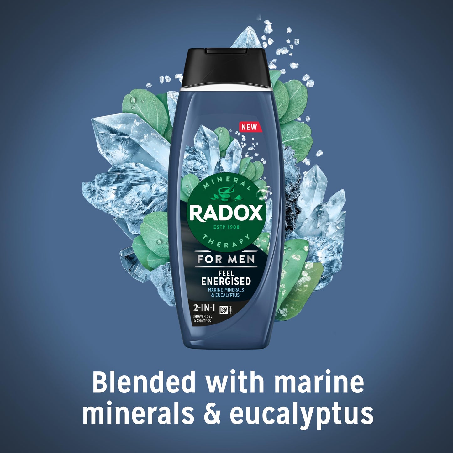Radox Mineral Therapy Feel Energised 2-in-1 Shower Gel & Shampoo Men's Body Wash with marine minerals & eucalyptus for a cooling experience 450 ml