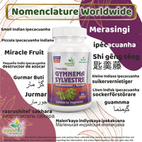 Ayushya Gymnema Sylvestre (Madhunaashini) Capsule, 500 mg Pure Extract, 60 Capsules