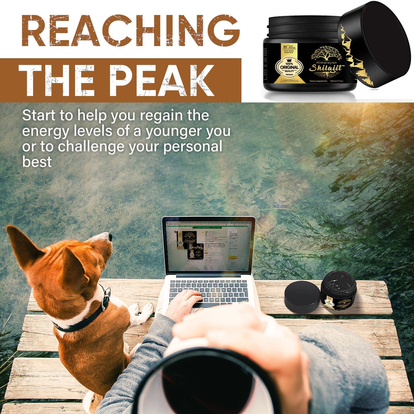 Birsppy Shilajit Resin, Pure Shilajit Organic Supplement with 85+ Trace Minerals & Fulvic Acid, Provide Immune System Support & Vitality Booster for Women & Men