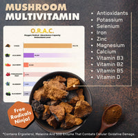 Solve Labs SOLVE Labs® ● Premium Siberian Chaga Extract Powder ● 10% Beta-D-Glucans ● 10:1 Extract ● Zero Fillers & Additives ● 100g ● 3 Months Supply