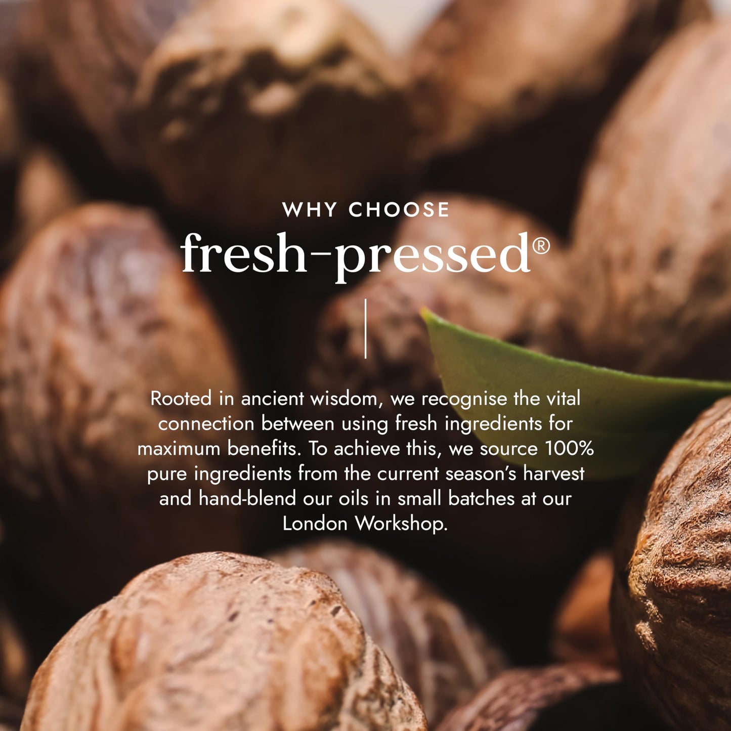 Fushi Organic Shea Butter 200g | Creamy, Handmade & 100% pure | Vitamins A, E & F | Unrefined, Fresh-Pressed For Skin Soothing, Natural Healing & Moisturising | Ethical & Vegan | Made in the UK