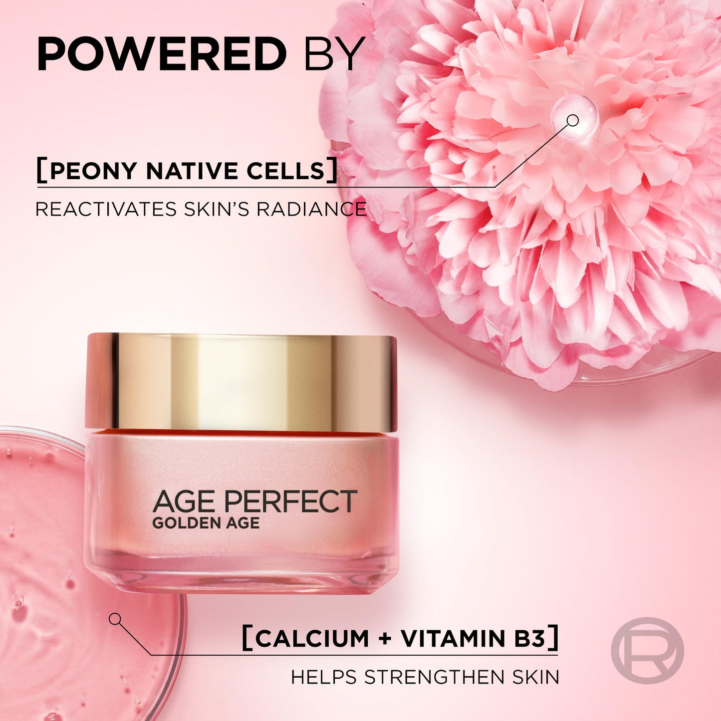 L'Oreal Paris L’Oréal Paris Age Perfect Golden Age Rosy Day Cream, for 50+, Deeply Moisturising, Reactivates Radiance with Instant Glow, Formulated with Peony Native Cells + Calcium B3, 50ml