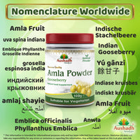 Aushadh Amla Fruit (Gooseberry) Powder