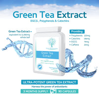 swiss bioenergetics Green Tea Capsules - 12,480mg - 90 Capsules of Premium Extract - Contains Polyphenols, Catechins & EGCG - Powerful Antioxidant for Immune Health - not Green Tea Tablets - Made in UK