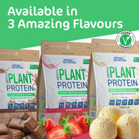 Applied Nutrition Critical Plant Protein - Vegan Protein Powder, Plant Based Supplement (450g - 15 Servings) (Vanilla)