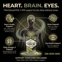 NutriVolv Vegan Omega 3 Algae Oil 500mg | 120 Vegan Softgels | DHA 200mg & EPA 100mg | Vegan Alternative to Omega 3 Fish Oil | Supports Eye, Brain & Heart Health | Essential Fatty Acid