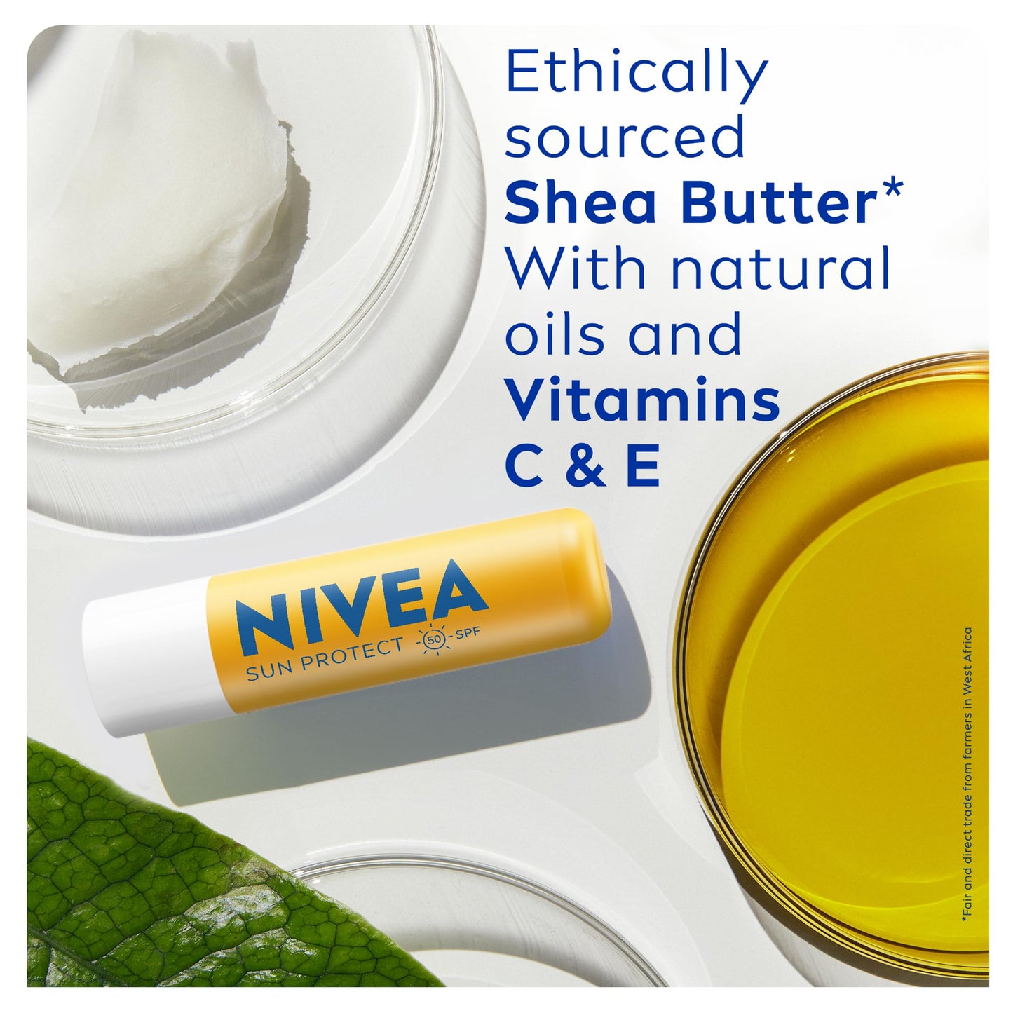 Nivea Sun NIVEA SUN Protect Caring Lip Balm SPF50 (4.8g), Factor 50 Balm with Shea Butter, Protection Against UVA/UVB Rays with 24H Moisture, Lip Care, No White Cast