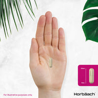 Milk Thistle Capsules 4500mg | 80% Silymarin | Hisht Strength Complex with Artichoke, Dandelion and Choline | 120 Capsules | 100% Vegan Supplement | by Horbaach