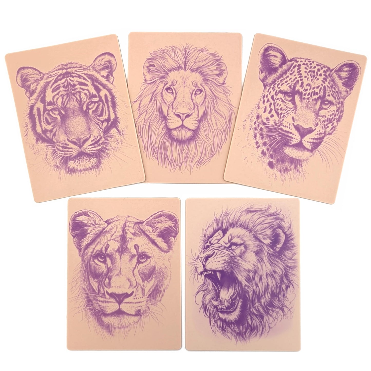 Stencil Skins Pre-Printed Tattoo Practice Skins - 5 Pack | Pre-Printed Designs | Big Cat Set | Premium 3mm Thick | Fake Skin