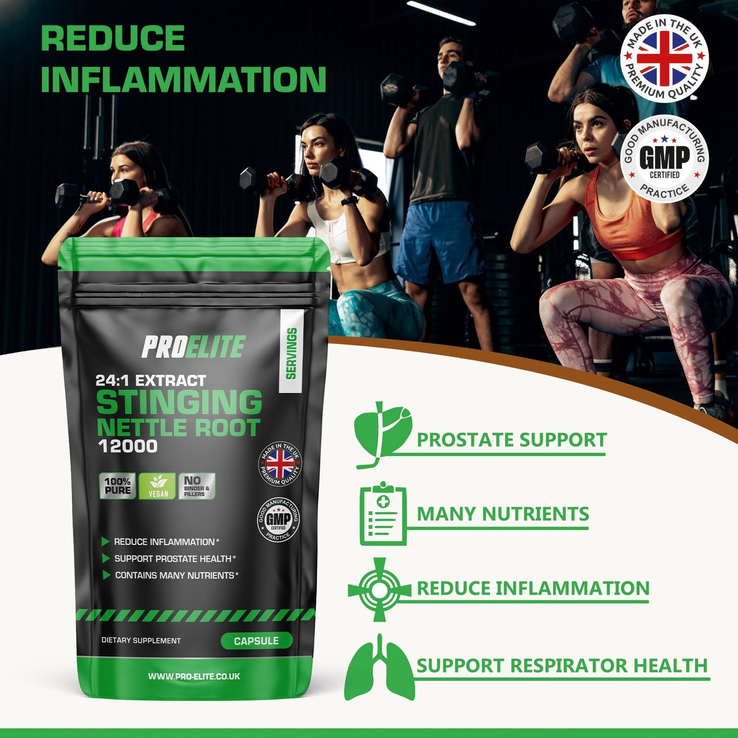 Stinging Nettle Root | 30 Capsules Vegan - 24:1 Extract 12,000mg Nettle Root per Capsule | High Strength Stinging Nettle Alternative to Powder NO Fillers & Binders | Made in UK by PROELITE