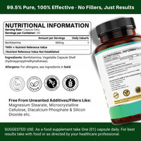 Benfotiamine 500mg x 120 Capsule | 4 Months Supply | Fat Soluble Vitamin B1 (Thiamine) for Nerve Health & Cognitive Enhancement | Vegan, Non-GMO & Gluten Free | Zero Additives | Third Party Lab Tested