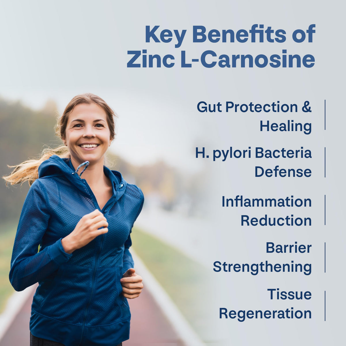 Longevity Box Zinc L-Carnosine Supplement - 75mg x 180 Capsules of Maximum Bioavailable Zinc L-Carnosine 2 Per Serving, Supports Gut Health, Nutrient Absorption, Digestive Comfort - 3 Months Supply