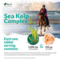 Sea Kelp Iodine Supplement Complex - 365 Vegan Tablets - 435mcg of Iodine per Tablet - 1 Year Supply - Wild Harvested Seaweed - GMO Free - Made in The UK - Nu U Nutrition