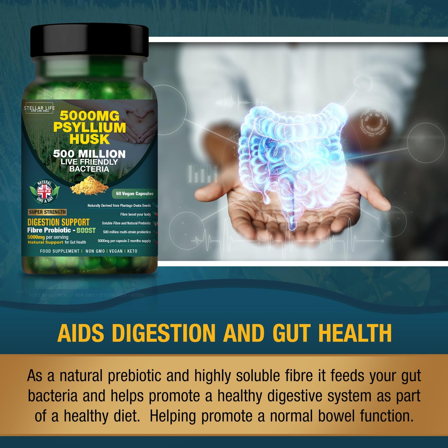 Fibre Supplement 5000mg Psyllium Husk with 500 Million Multi-Strain Probiotic - High Strength - Natural Soluble Fiber Supplement Plantago Ovata Seeds 2 Month Supply Psyllium Husks Capsules Vegan, UK