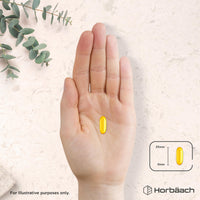 Horbäach Omega 3 Capsules High Strength 2240mg with 660mg of EPA and 440mg of DHA | 120 Softgels | Natural Source of Omega 3 Fish Oil | By Horbaach