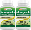 Best Naturals Ashwagandha 500 mg 120 Capsules (120 Count (Pack of 2))
