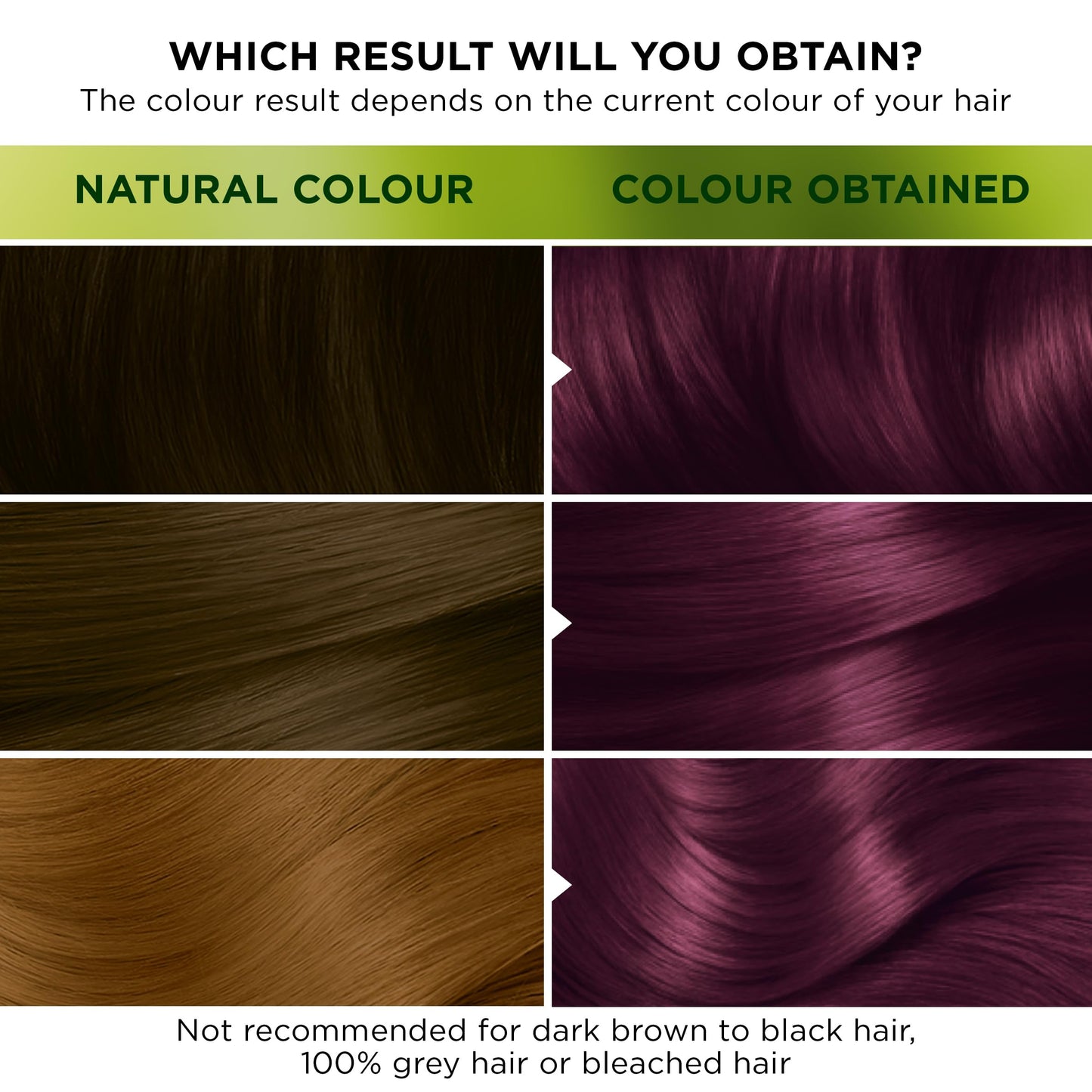 Garnier Nutrisse Ultra Color Permanent Hair Dye, 4.26 Ultra Violet