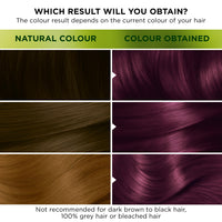 Garnier Nutrisse Ultra Color Permanent Hair Dye, 4.26 Ultra Violet