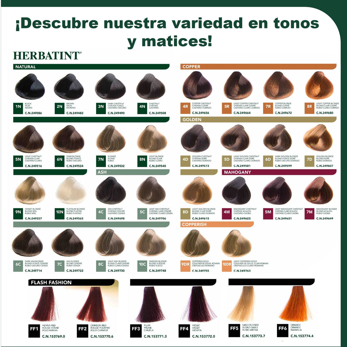 Herbatint HERBATIN Dye Chestnut Ash 4C 150 ml Herbatin