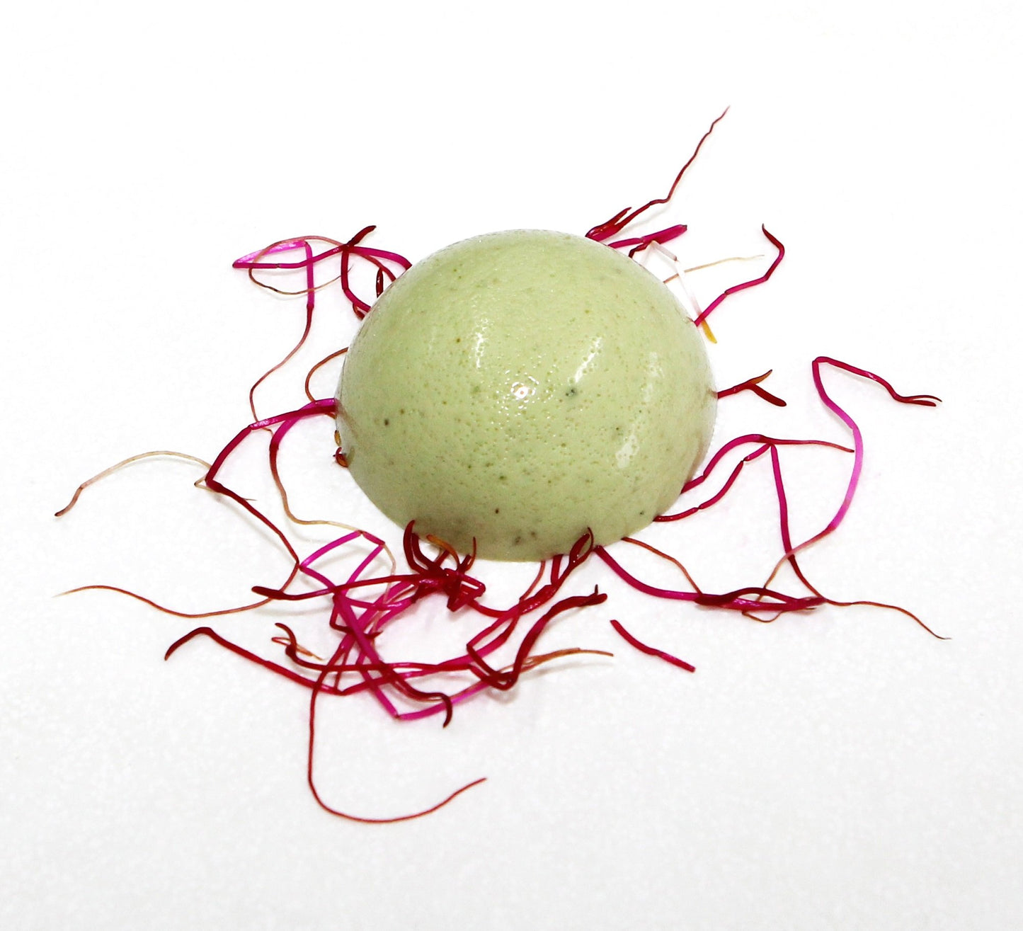 SPECIAL INGREDIENTS Special Ingredients Carrageenan Iota Premium Quality Food Grade Powder 500g, Suitable for Vegan's & Vegetarian's, Non GMO, Recyclable Plastic Container