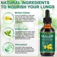 Bibonse Mullein Leaf Extract for Lung, Mullein Drops, Mullein Leaf Liquid Drops, Mullein Extract with Chlorophyll for Lung Cleanse, Premium Health Supplement Drops for Fast Absorption, Alcohol-Free, 60ml
