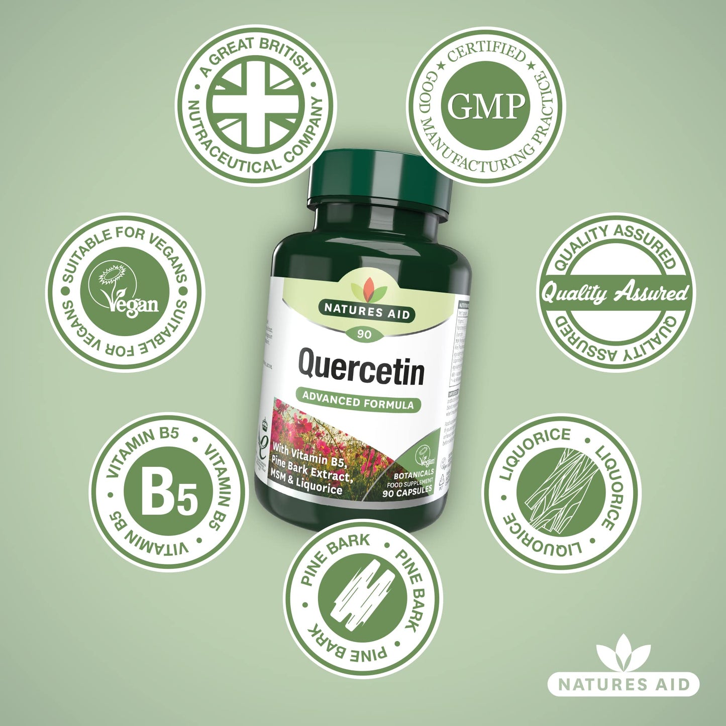 Natures Aid Quercetin Formula – Immune Support Supplement with Vitamin C, B5, MSM, Pine Bark & Liquorice – Supports Energy & Wellbeing High Strength Antioxidant – 90 Vegan Capsules
