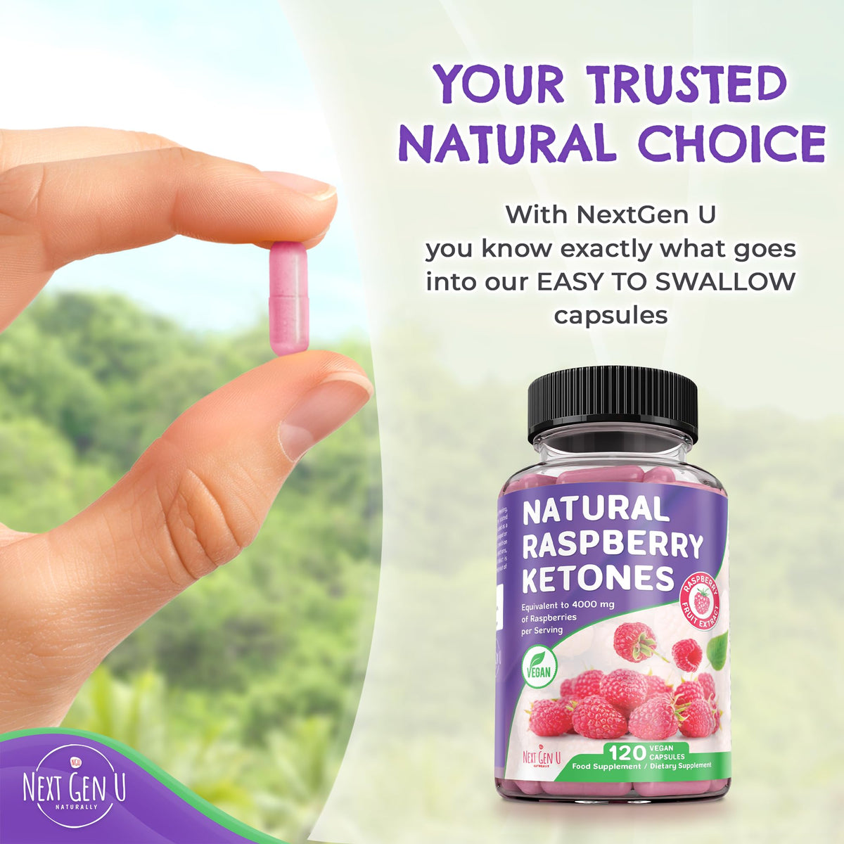 NGU Next Gen U Raspberry Ketones - 4000 mg, 120 Capsules - Food Supplement - to Support Natural Health Management for Adults - by NextGenU
