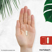 Horbäach L Citrulline Malate Capsules | High Strength 1500mg Supplement for Men and Women | 2:1 Extract | 90 Count | Suitable for Vegans & Vegetarians | by Horbaach