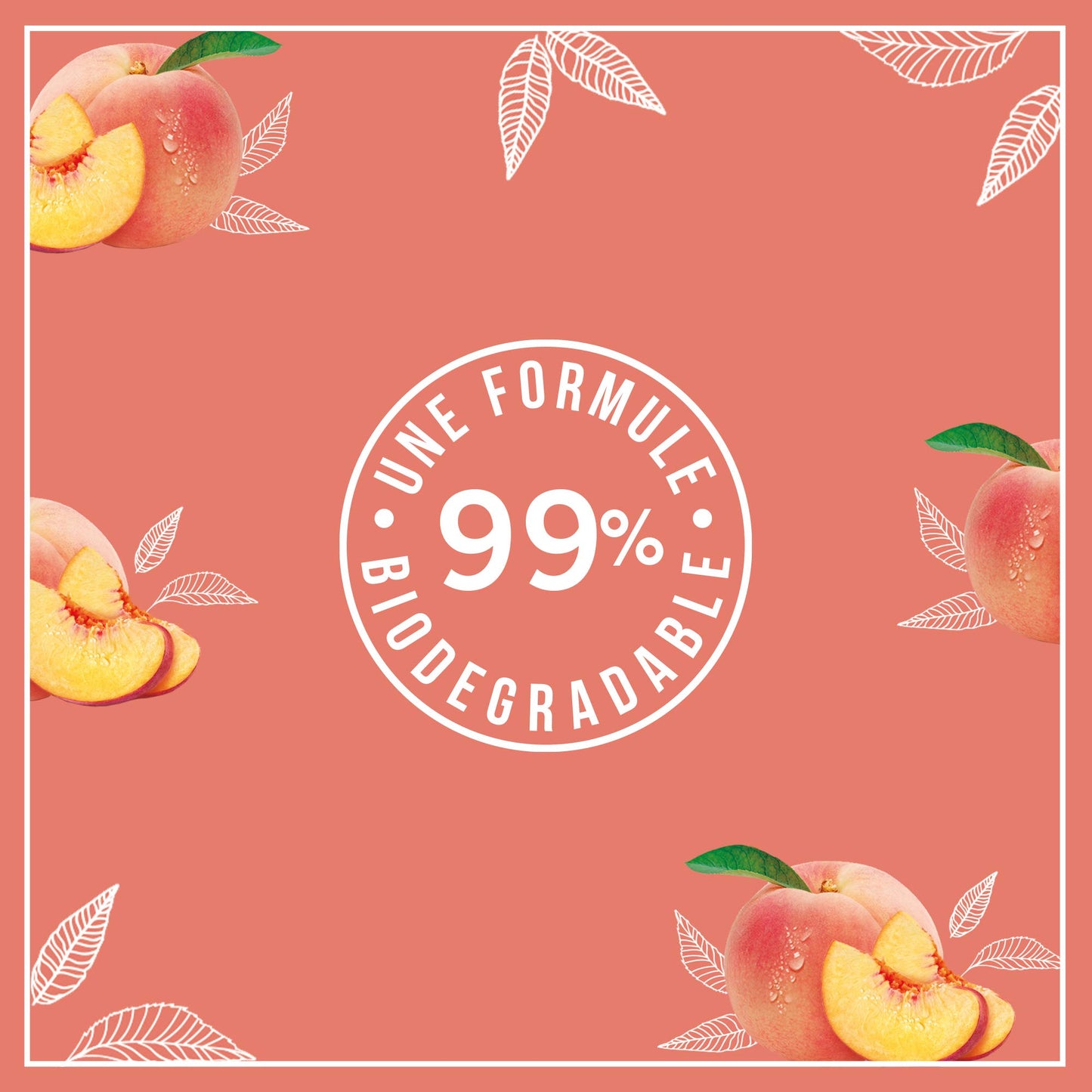 Le Petit Marseillais Extra-Genle Shower Gel Organic White Peach Organic Nectarine 250ml