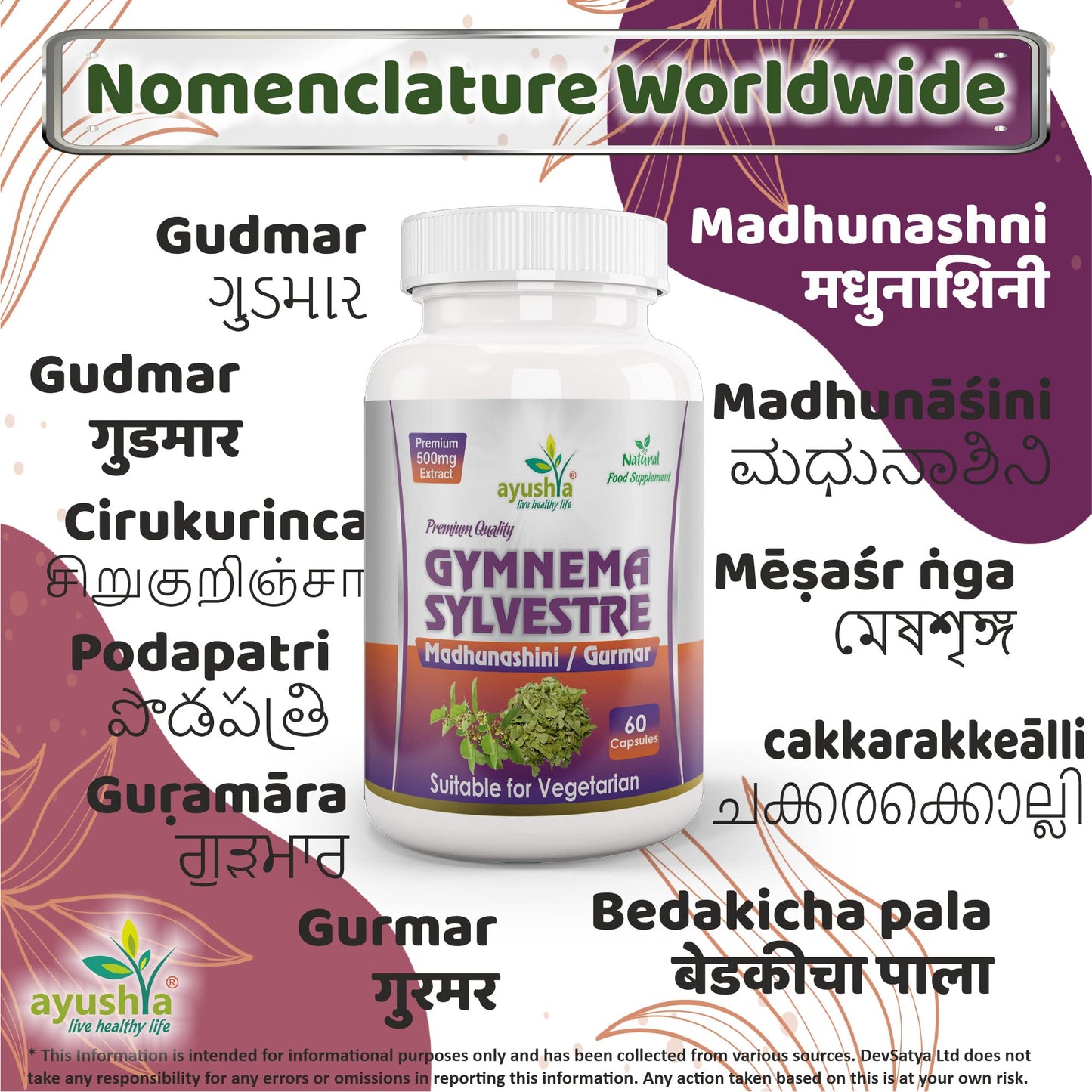 Ayushya Gymnema Sylvestre (Madhunaashini) Capsule, 500 mg Pure Extract, 60 Capsules