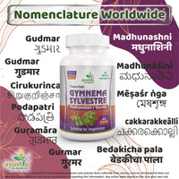 Ayushya Gymnema Sylvestre (Madhunaashini) Capsule, 500 mg Pure Extract, 60 Capsules