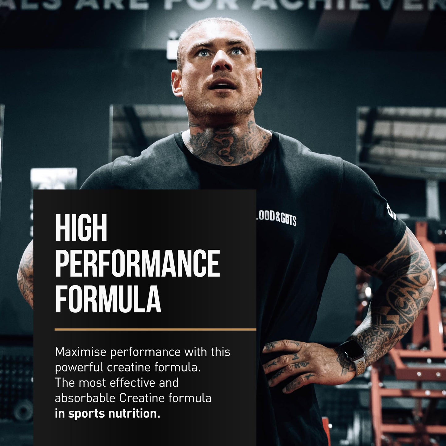 DY Nutrition The Creatine Complex 400g - High Performance Creatine Monohydrate Powder with Beta Alanine, Taurine + B Vitamins for Muscle Endurance, Pump & Recovery x40 Servings (Peach Flavoured)