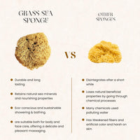 Generic Natural Sponge - Grass Sea Sponge for Bath and Shower | Unbleached Bathing Sponge for Adults & Children (Small (4-4.5"/10-11cm), Pack of 4)